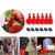 ZooVenture 6 Pièce Kit Abreuvoir Automatique DIY Pour Poules Volaille