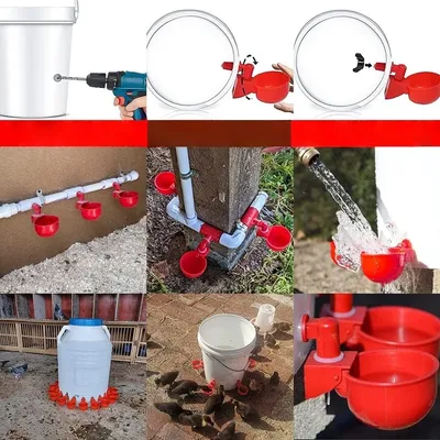 ZooVenture 6 Pièce Kit Abreuvoir Automatique DIY Pour Poules Volaille