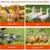 ZooVenture 6 Pièce Kit Abreuvoir Automatique DIY Pour Poules Volaille