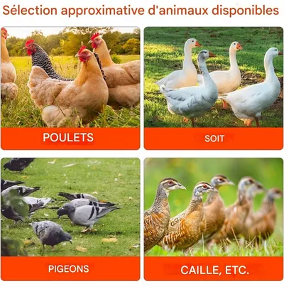ZooVenture 6 Pièce Kit Abreuvoir Automatique DIY Pour Poules Volaille
