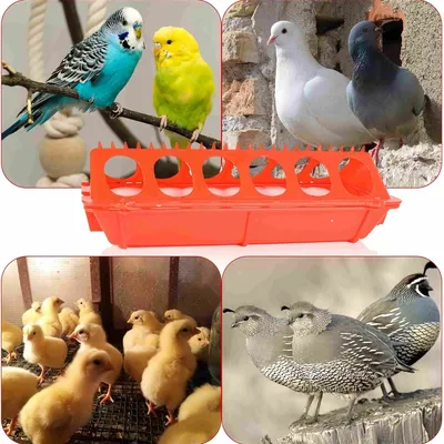 FurryFusion Mangeoire pour animaux de ferme