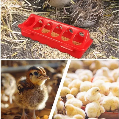 FurryFusion Mangeoire pour animaux de ferme