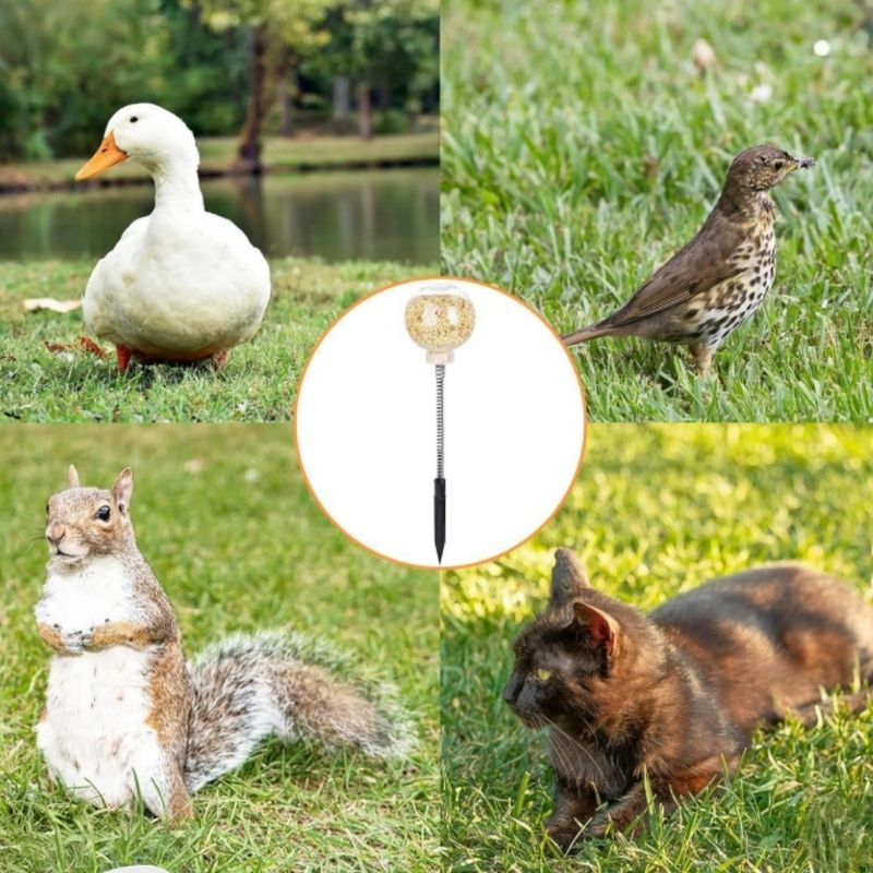 FurryFusion Ralentisseur d'alimentation pour volailles, pack de 2