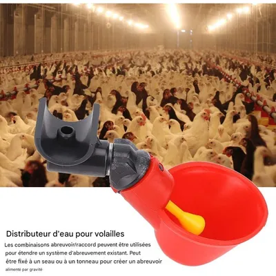 ZooVenture 10 Pack Eau Pour Volaille Pour Poulets Canards Animaux De Ferme