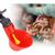ZooVenture 10 Pack Eau Pour Volaille Pour Poulets Canards Animaux De Ferme