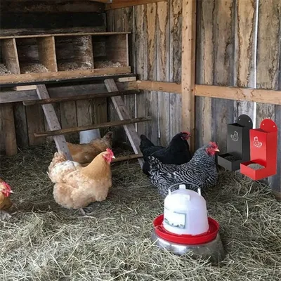 ZooVenture Mangeoire Automatique En Métal Sans Déchets Pour Volaille