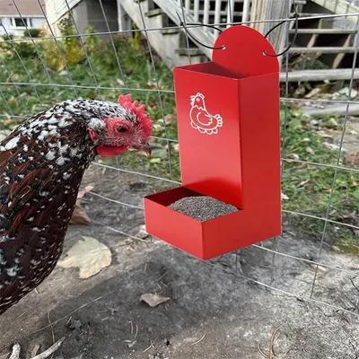 ZooVenture Mangeoire Automatique En Métal Sans Déchets Pour Volaille