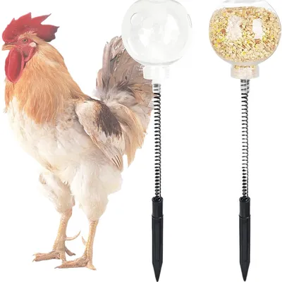 IntiMeg Jouet à picorer pour poules