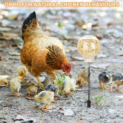 IntiMeg Jouet à picorer pour poules