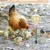 IntiMeg Jouet de piquage pour poules