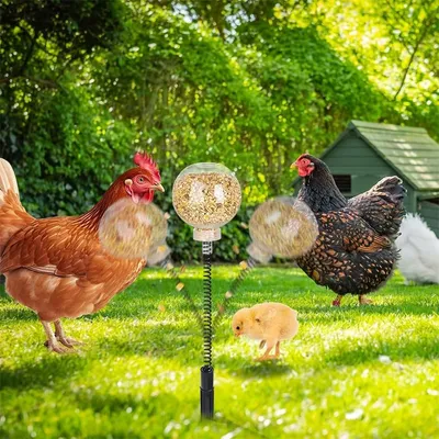 IntiMeg Jouet de piquage pour poules