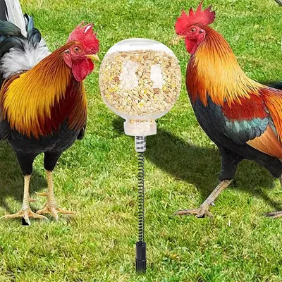 IntiMeg Jouet de piquage pour poules