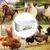 ZooVenture Alimentation Nouvelle Grande Capacité Pour Vaches Moutons