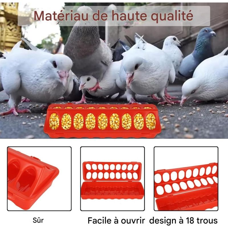 ZooVenture 10 PCS Flip Top Mangeoire Plastique Pour Volailles Oiseaux