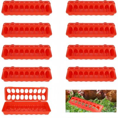 ZooVenture 10 PCS Flip Top Mangeoire Plastique Pour Volailles Oiseaux
