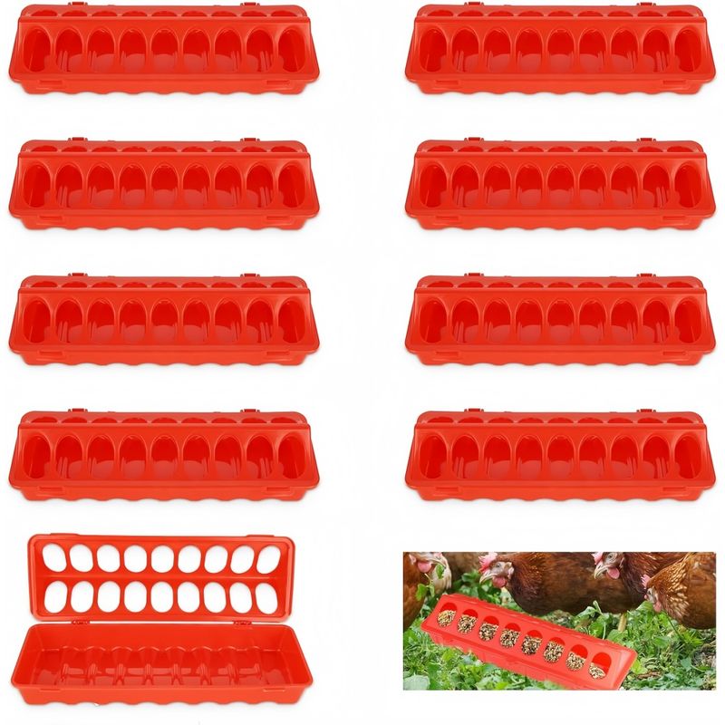 ZooVenture 10 PCS Flip Top Mangeoire Plastique Pour Volailles Oiseaux