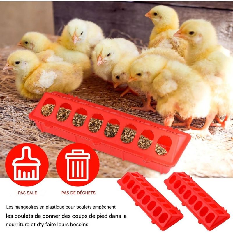ZooVenture 10 PCS Flip Top Mangeoire Plastique Pour Volailles Oiseaux