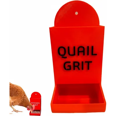 ZooVenture Nourrisseur Volaille Extérieur Avec Graviers Pour Poules