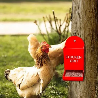 ZooVenture Nourrisseur Volaille Extérieur Avec Graviers Pour Poules