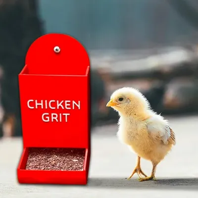 ZooVenture Nourrisseur Volaille Extérieur Avec Graviers Pour Poules