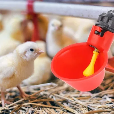 ZooVenture 10 Pack Eau Pour Volaille Pour Poulets Canards Animaux De Ferme