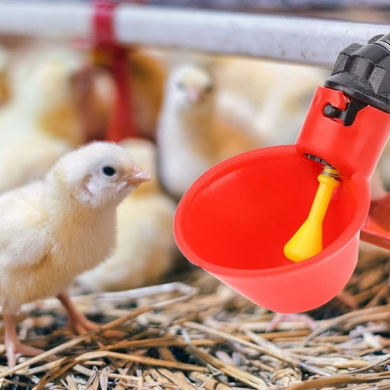 ZooVenture 10 Pack Eau Pour Volaille Pour Poulets Canards Animaux De Ferme