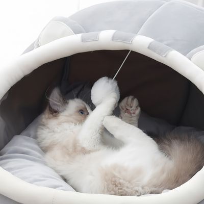 FurryFusion Lit semi-fermé pour chat