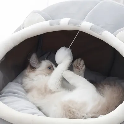 FurryFusion Lit semi-fermé pour chat