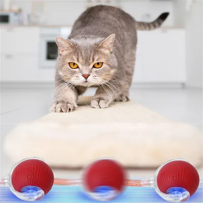 Pet Planet Balle intelligente pour chat