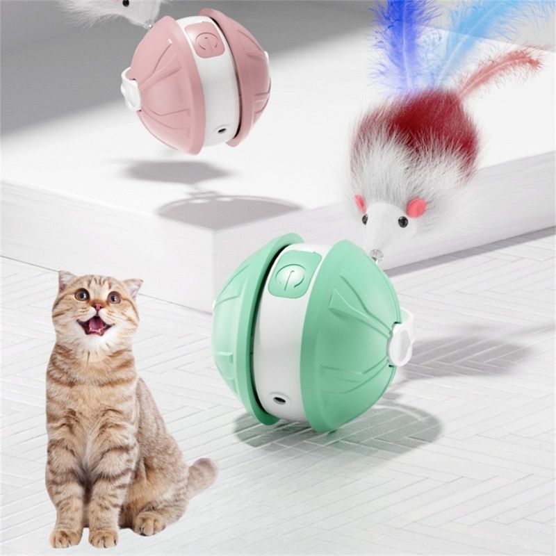 Pet Planet Jouet intelligent Balle interactive pour chat