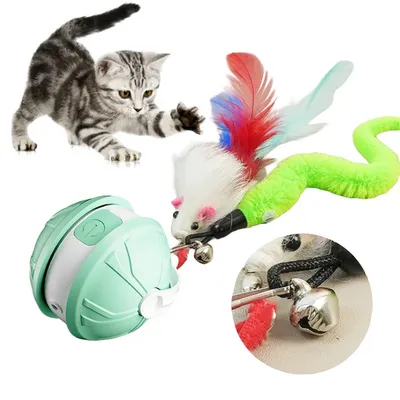 Pet Planet Jouet intelligent Balle interactive pour chat