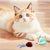 Pet Planet Jouet intelligent Balle interactive pour chat