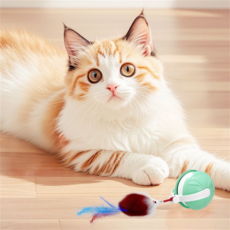 Pet Planet Jouet intelligent Balle interactive pour chat