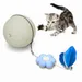 Pet Planet Jouet pour chat Balle tournante avec canne à plumes