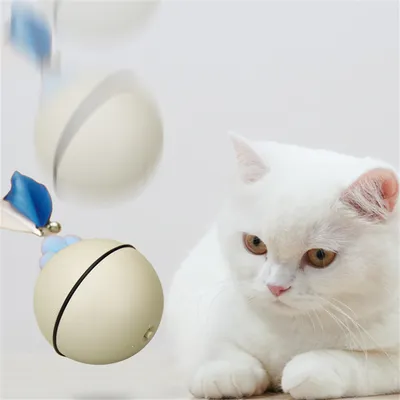 Pet Planet Jouet pour chat Balle tournante avec canne à plumes