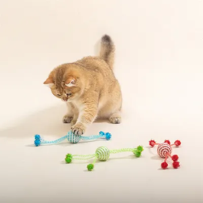 IntiMeg Jouet de corde en forme de balle pour chat 3 jouets