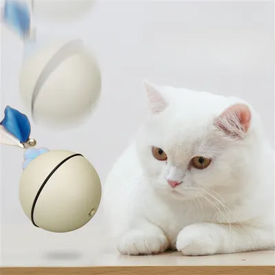 Pet Planet Jouet pour chat Balle tournante avec canne à plumes