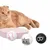 FurryFusion Lot de 3 balles pour chat