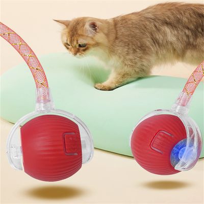 Pet Planet Balle intelligente pour chat
