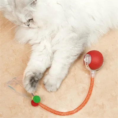 Pet Planet Balle intelligente pour chat