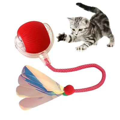 Pet Planet Balle intelligente pour chat Pet Planet Balle intelligente pour chat