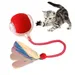 Pet Planet Balle intelligente pour chat