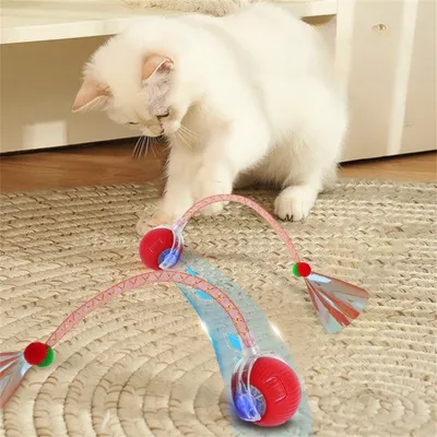 Pet Planet Balle intelligente pour chat