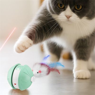 Pet Planet Jouet intelligent Balle interactive pour chat