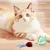 Pet Planet Jouet intelligent Balle interactive pour chat