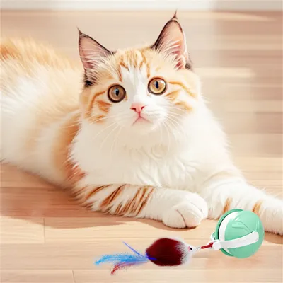 Pet Planet Jouet intelligent Balle interactive pour chat