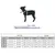 UAMLY Colliers pour chats et chiens en diamant