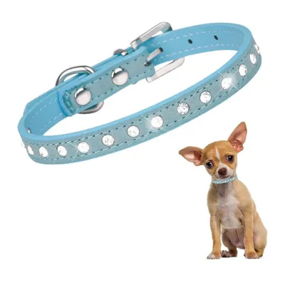 UAMLY Colliers pour chats et chiens en diamant