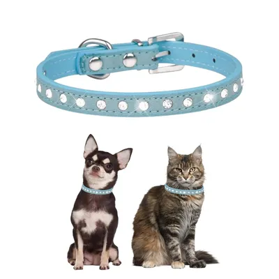 UAMLY Colliers pour chats et chiens en diamant