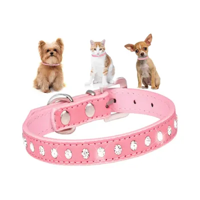 UAMLY Colliers pour chats et chiens en diamant